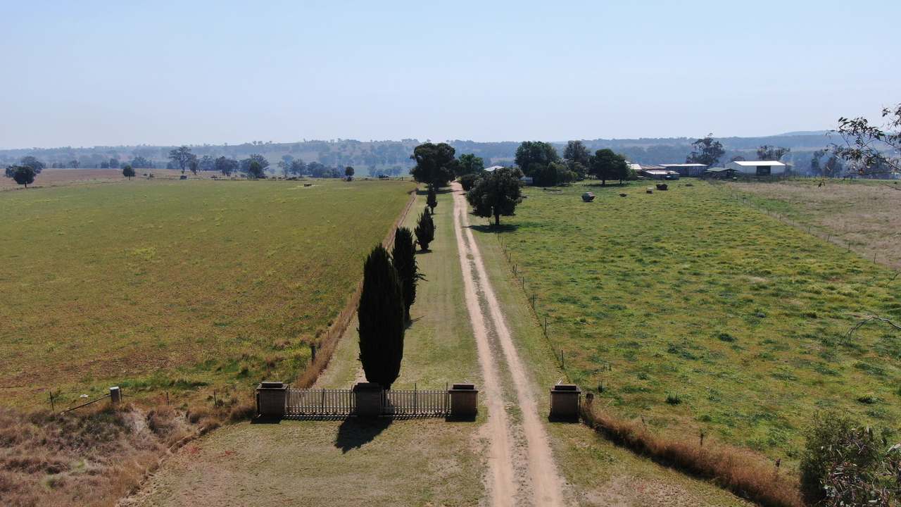 2200 Ashford Road, Bukkulla For Sale by Farmbuy.com - image 13