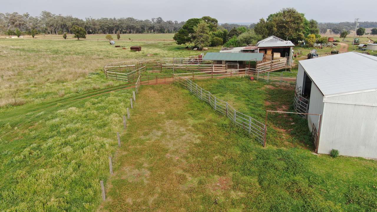 2200 Ashford Road, Bukkulla For Sale by Farmbuy.com - image 14