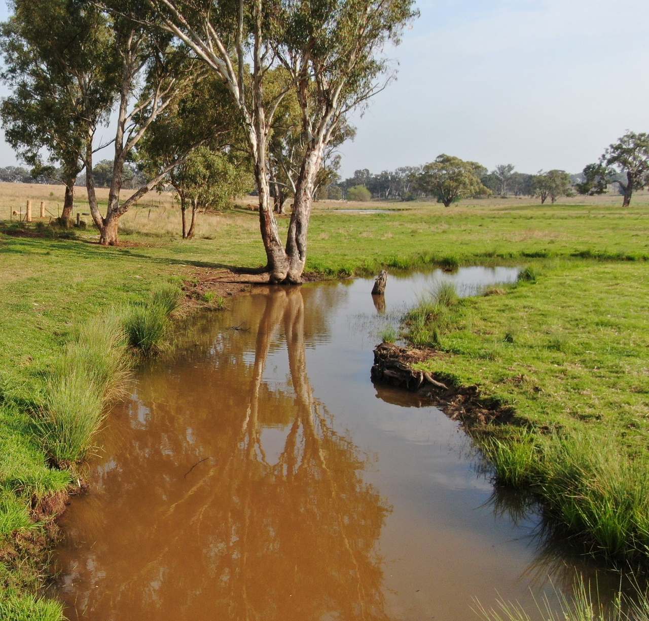 2200 Ashford Road, Bukkulla For Sale by Farmbuy.com - image 8
