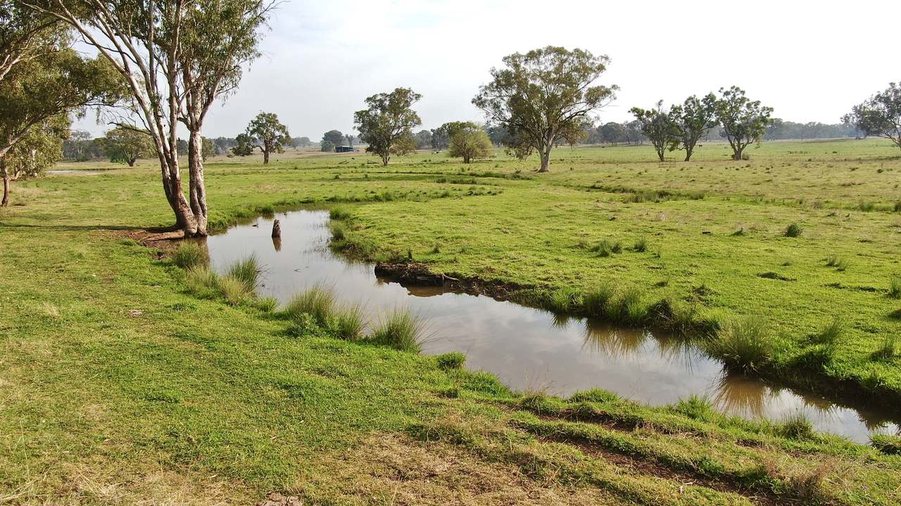 2200 Ashford Road, Bukkulla For Sale by Farmbuy.com - image 7