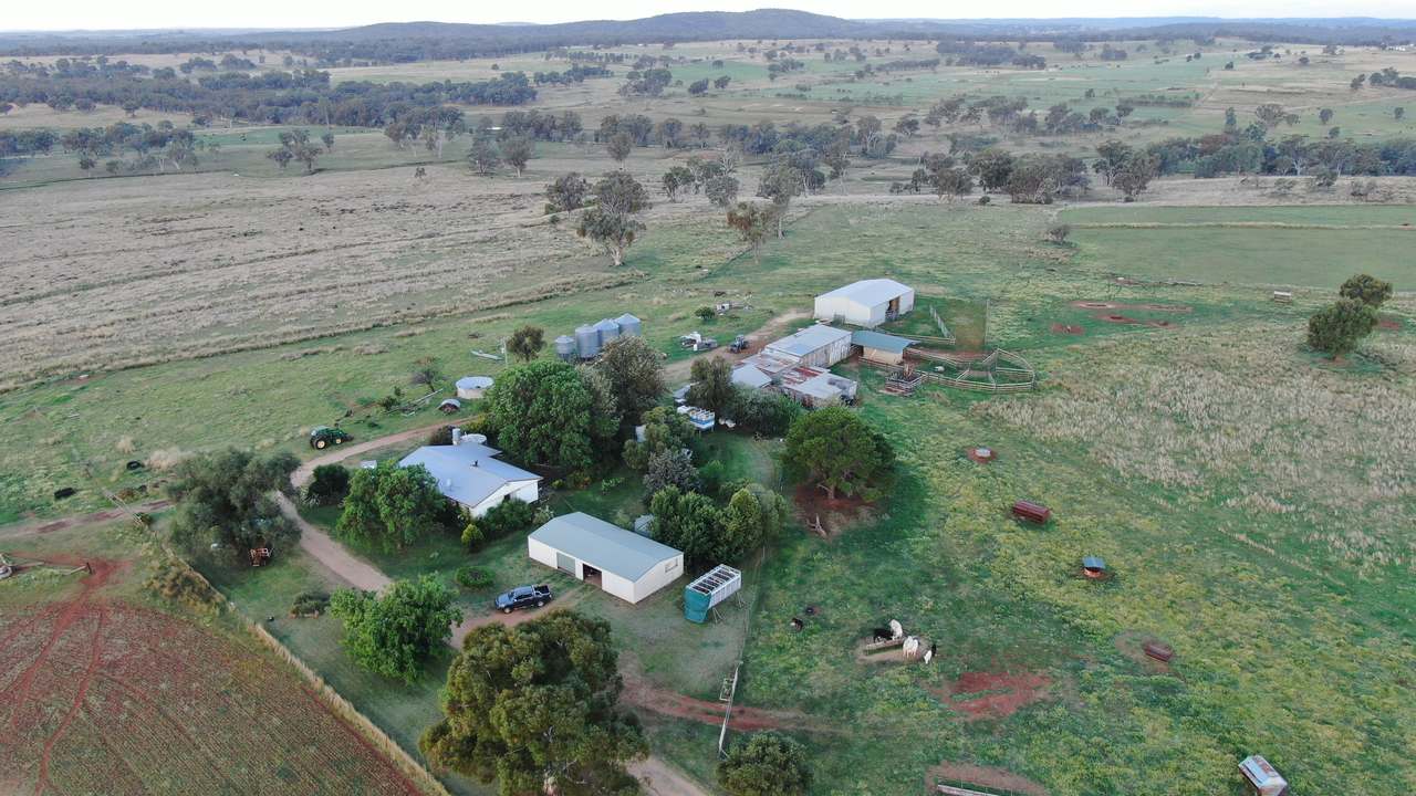 2200 Ashford Road, Bukkulla For Sale by Farmbuy.com - image 12
