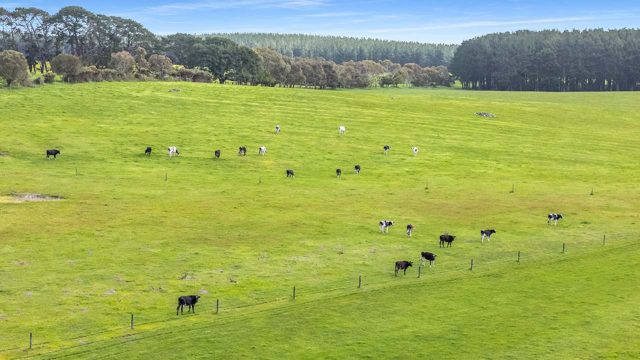 77 Furness Road, Wandilo For Sale by Farmbuy.com - image 6