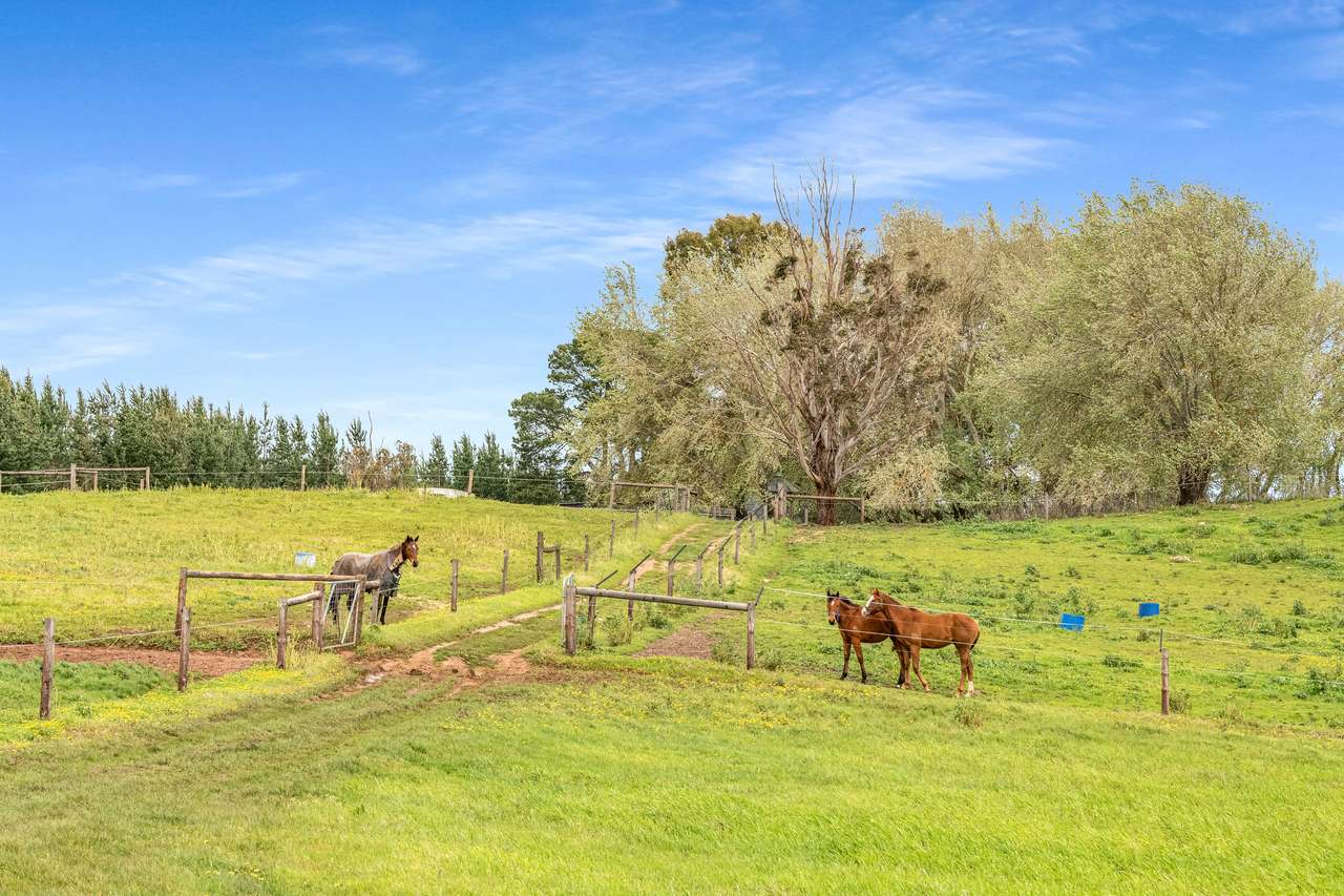 77 Furness Road, Wandilo For Sale by Farmbuy.com - image 14