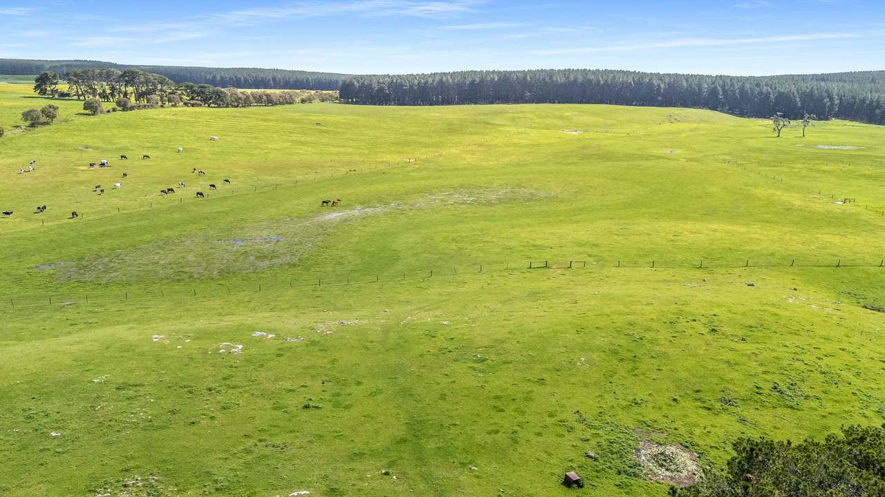 77 Furness Road, Wandilo For Sale by Farmbuy.com - image 5