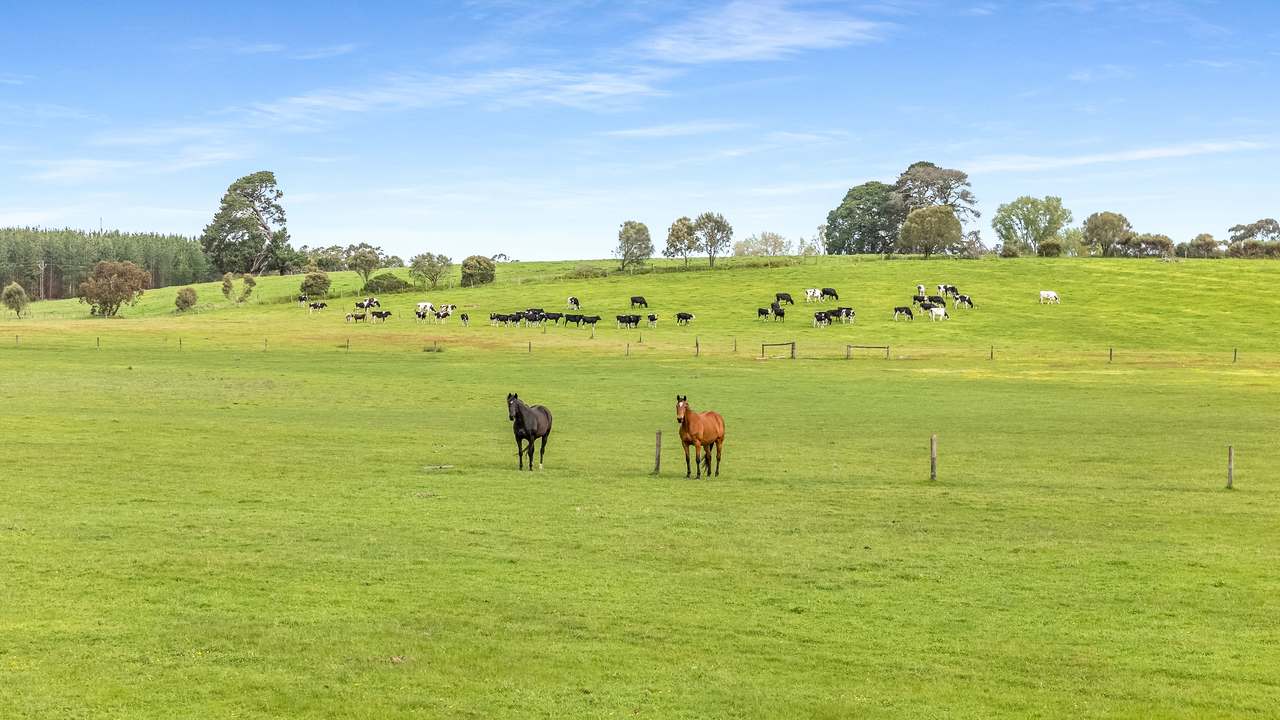 77 Furness Road, Wandilo For Sale by Farmbuy.com - image 8