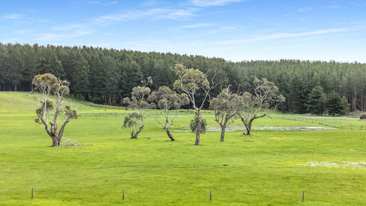 77 Furness Road, Wandilo For Sale by Farmbuy.com - image 4
