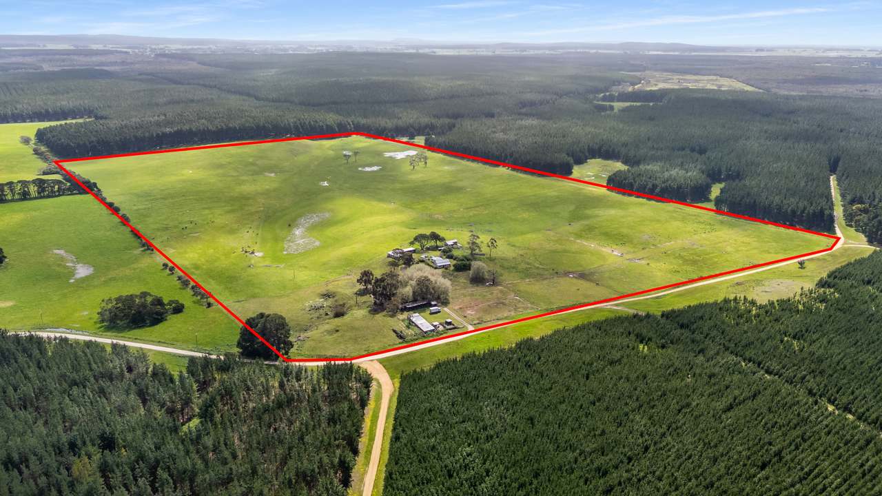 77 Furness Road, Wandilo For Sale by Farmbuy.com - image 2