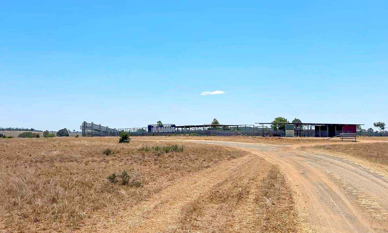2365 Riley’s Crossing Road, Comet  Auction by Farmbuy.com - image 38