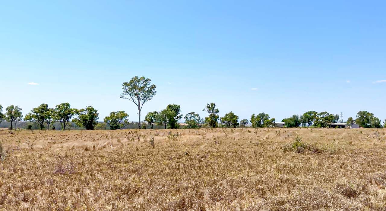 2365 Riley’s Crossing Road, Comet  Auction by Farmbuy.com - image 18