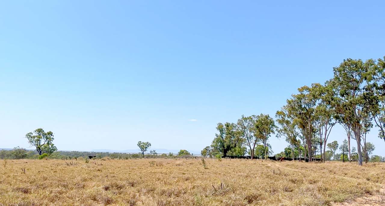 2365 Riley’s Crossing Road, Comet  Auction by Farmbuy.com - image 3