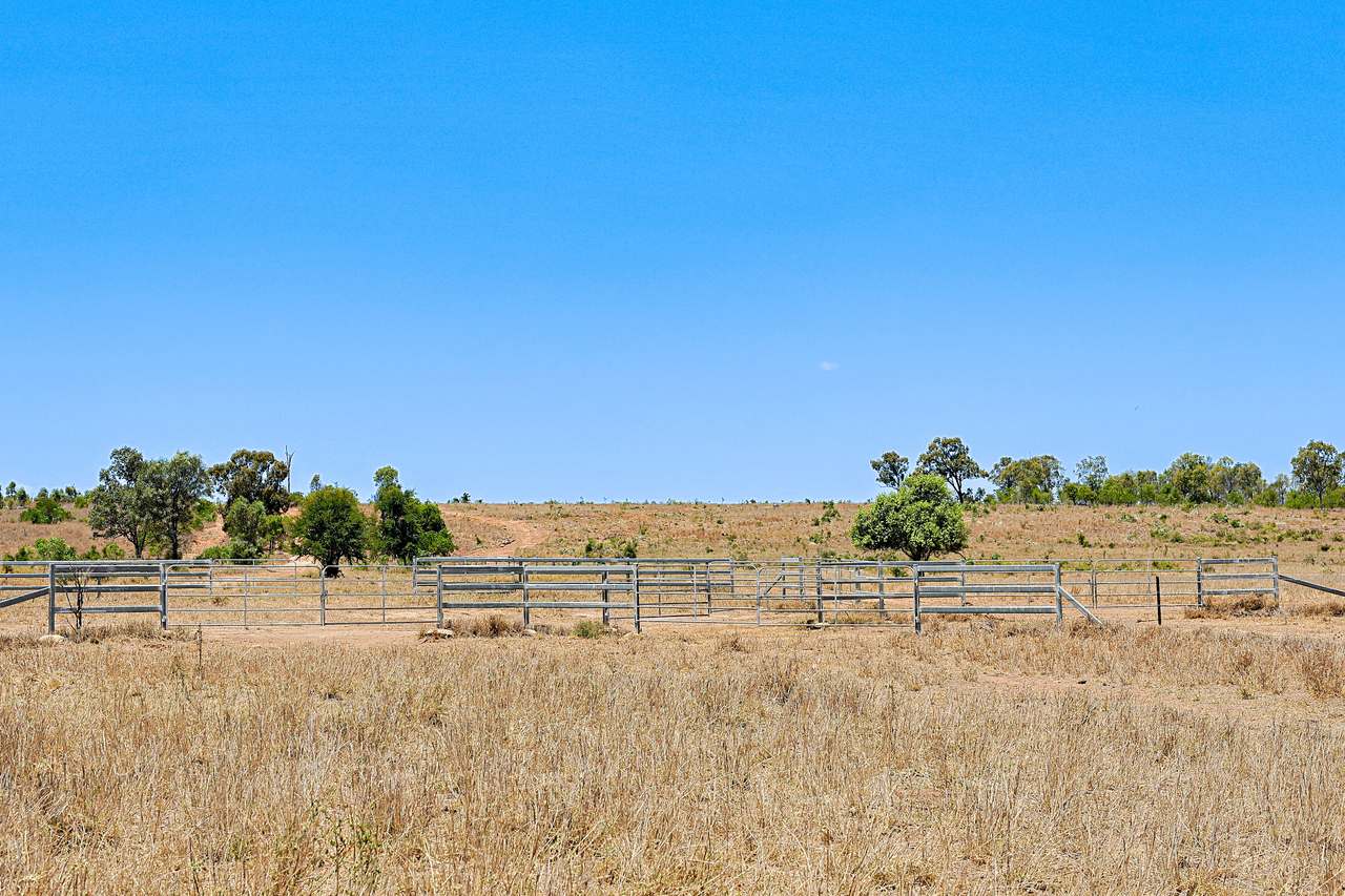 2365 Riley’s Crossing Road, Comet  Auction by Farmbuy.com - image 11