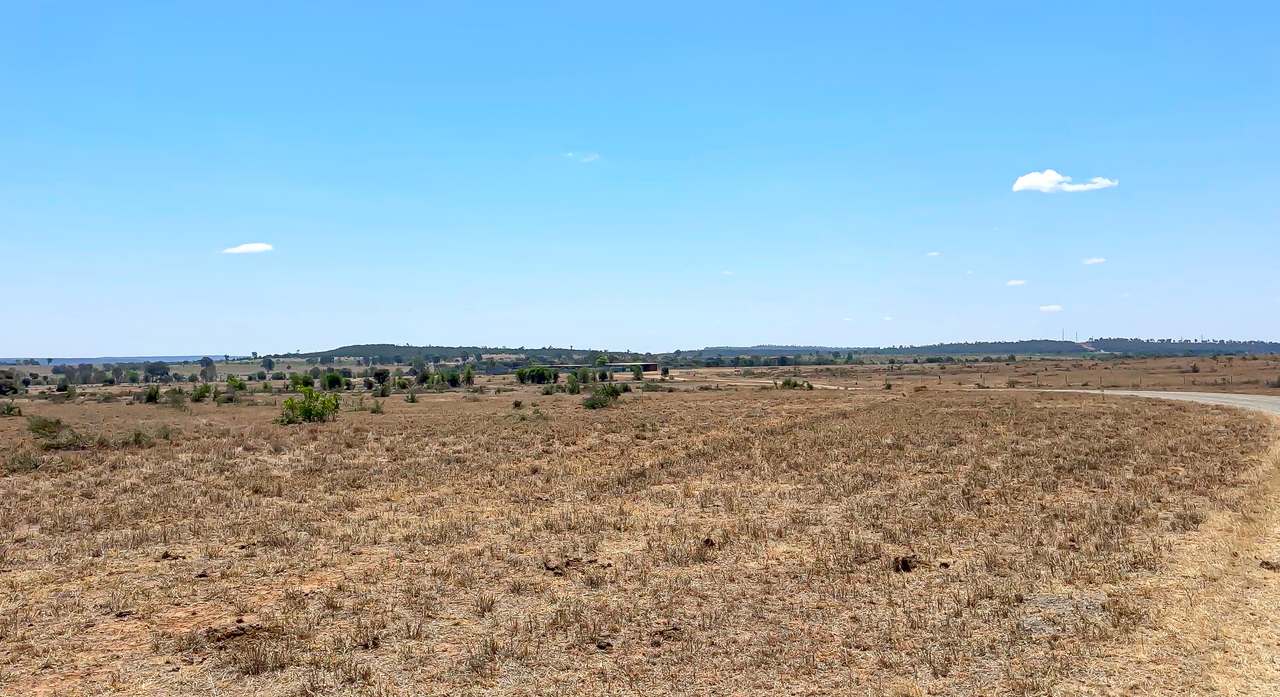 2365 Riley’s Crossing Road, Comet  Auction by Farmbuy.com - image 7
