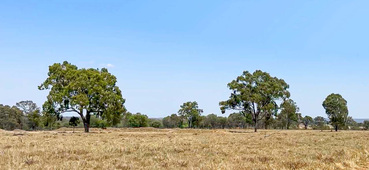2365 Riley’s Crossing Road, Comet  Auction by Farmbuy.com - image 4