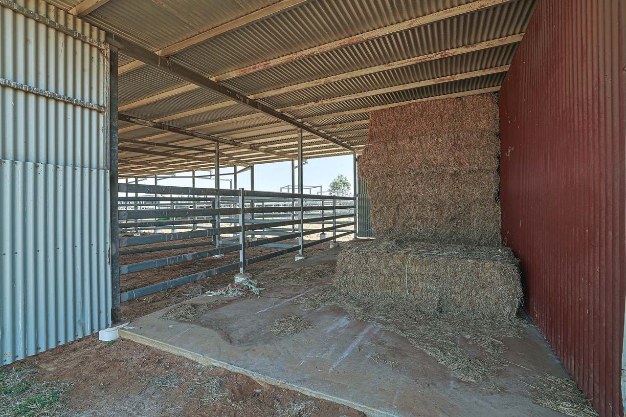 2365 Riley’s Crossing Road, Comet  Auction by Farmbuy.com - image 37