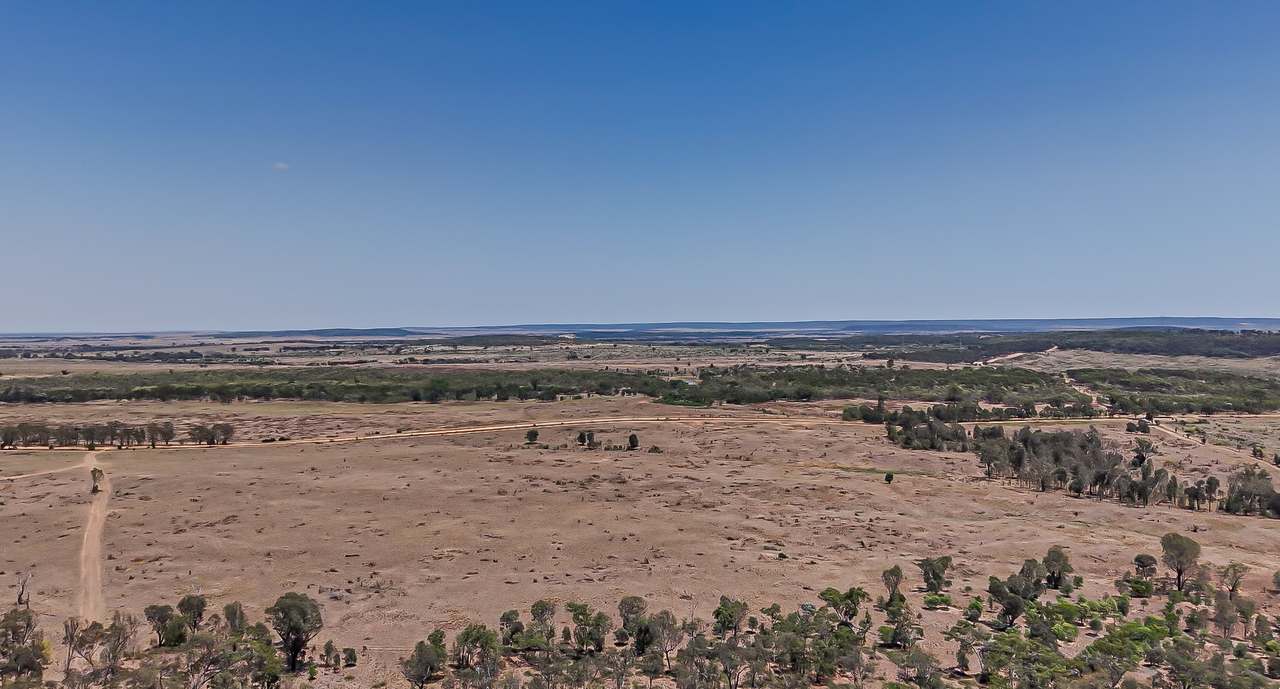 2365 Riley’s Crossing Road, Comet  Auction by Farmbuy.com - image 8