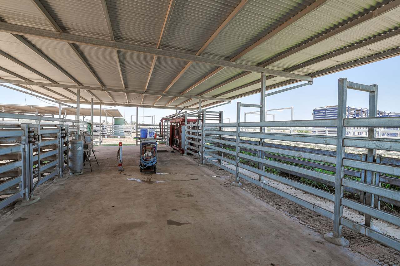 2365 Riley’s Crossing Road, Comet  Auction by Farmbuy.com - image 34