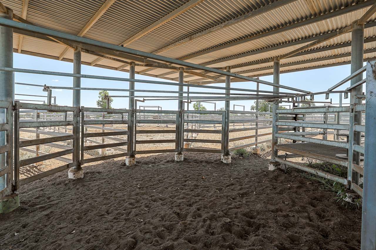 2365 Riley’s Crossing Road, Comet  Auction by Farmbuy.com - image 36