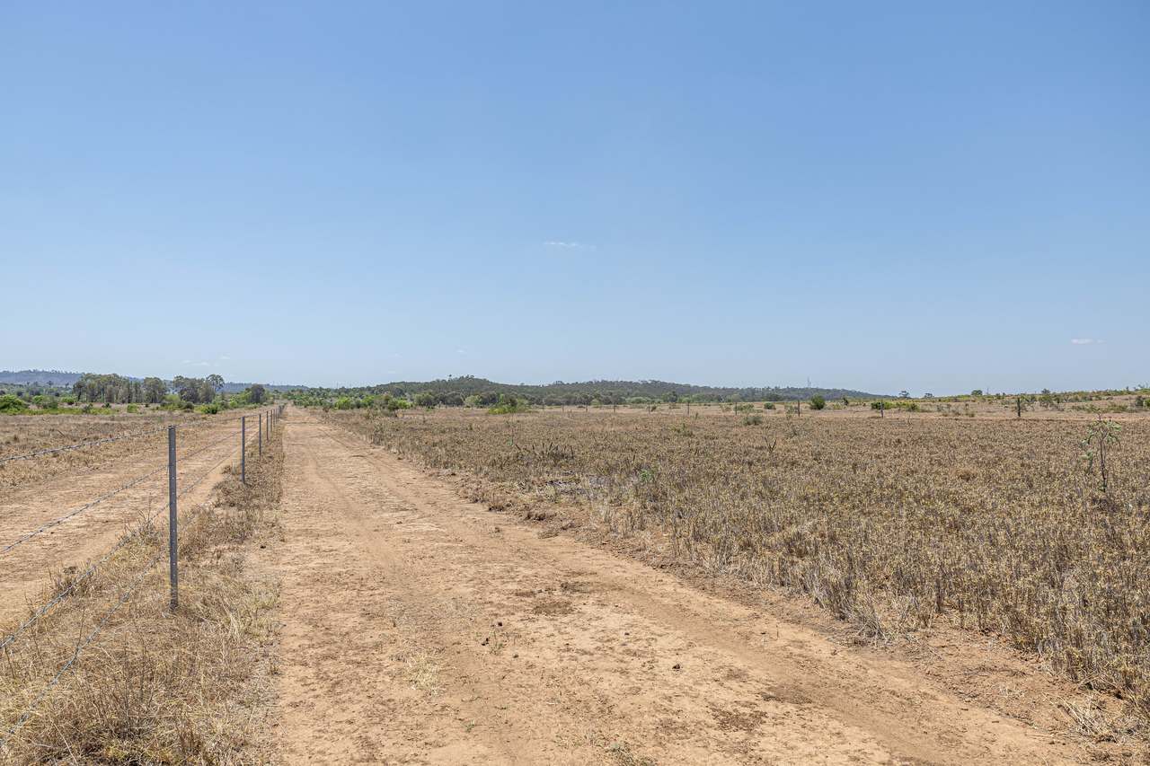2365 Riley’s Crossing Road, Comet  Auction by Farmbuy.com - image 12