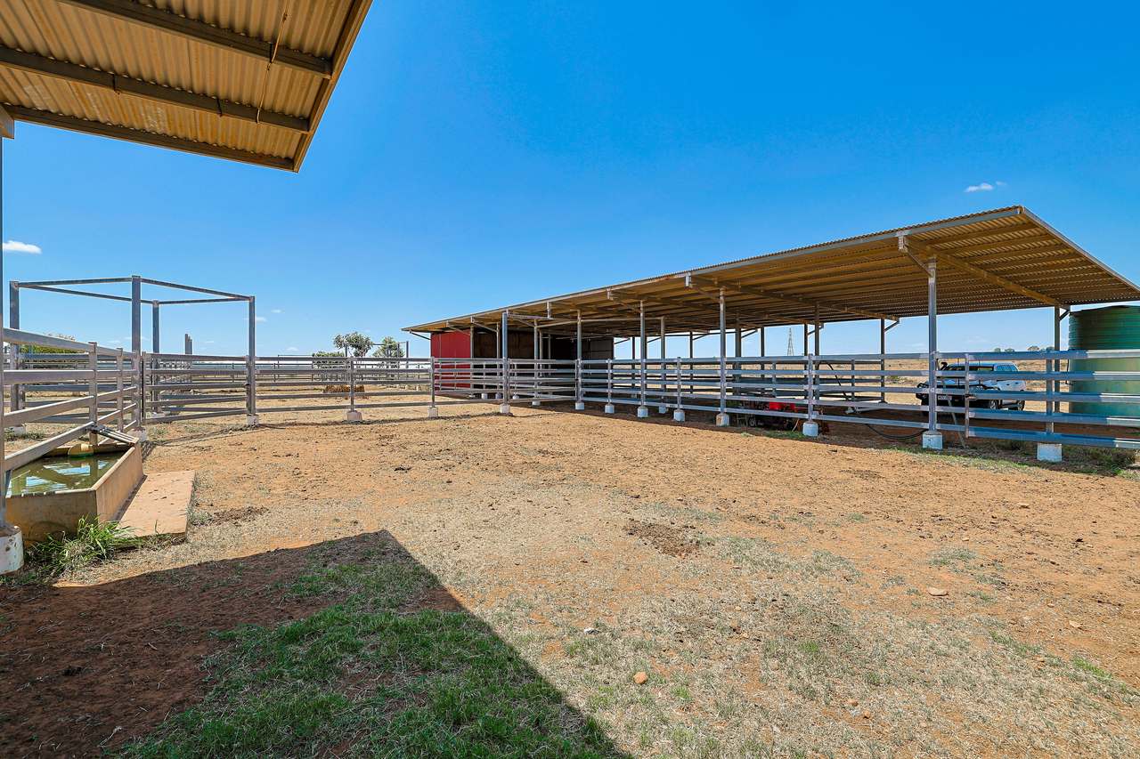 2365 Riley’s Crossing Road, Comet  Auction by Farmbuy.com - image 35