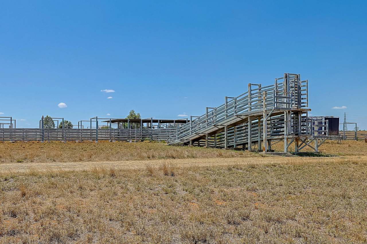2365 Riley’s Crossing Road, Comet  Auction by Farmbuy.com - image 31