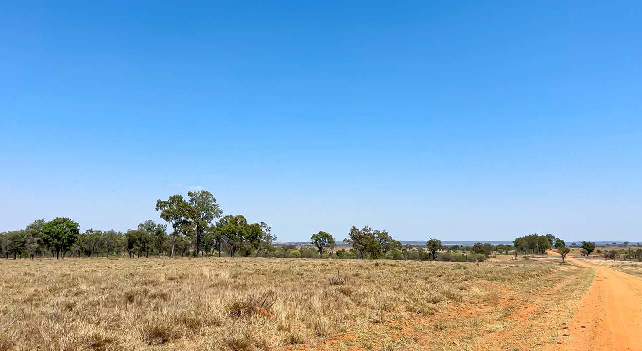 2365 Riley’s Crossing Road, Comet  Auction by Farmbuy.com - image 5