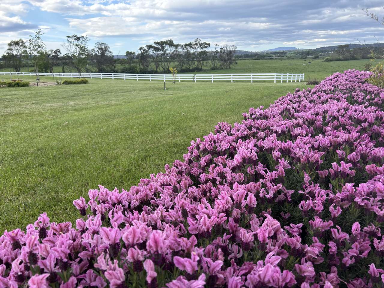 2130 Bishopsbourne Road, Longford For Sale by Farmbuy.com - image 19