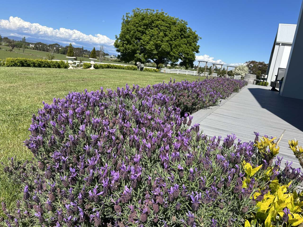 2130 Bishopsbourne Road, Longford For Sale by Farmbuy.com - image 22