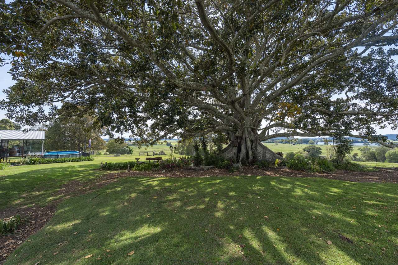 2351 Lawrence Road , Lower Southgate Auction by Farmbuy.com - image 5