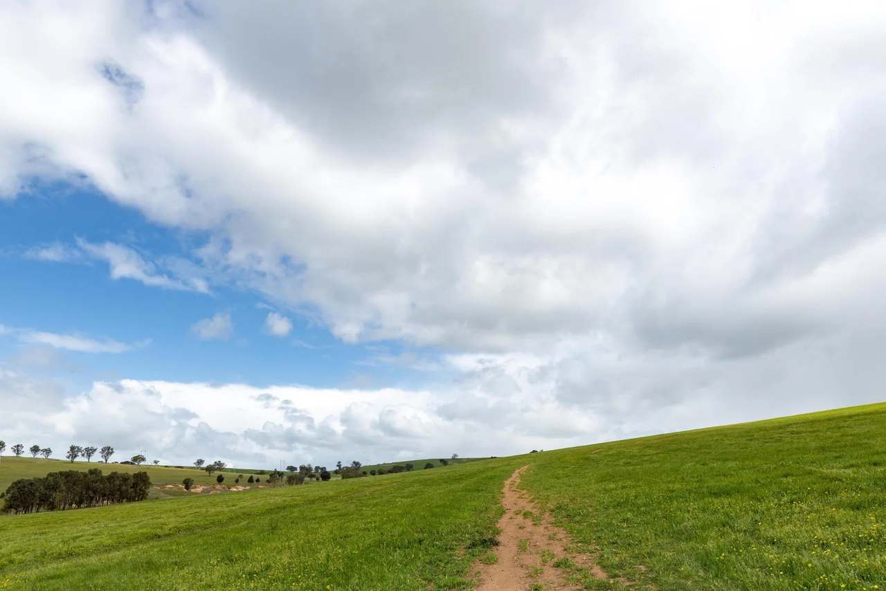 1126 Pattersons Road, Harefield Auction by Farmbuy.com - image 10