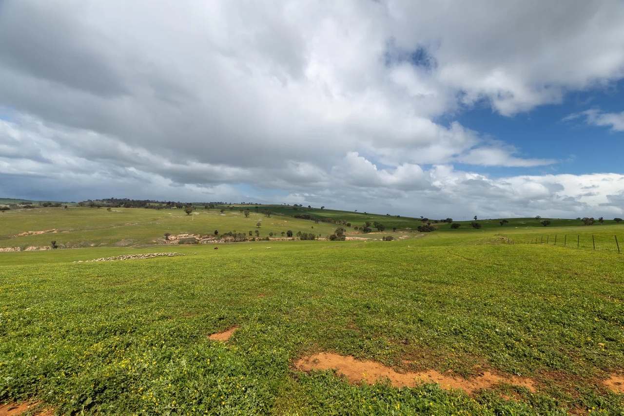 1126 Pattersons Road, Harefield Auction by Farmbuy.com - image 5