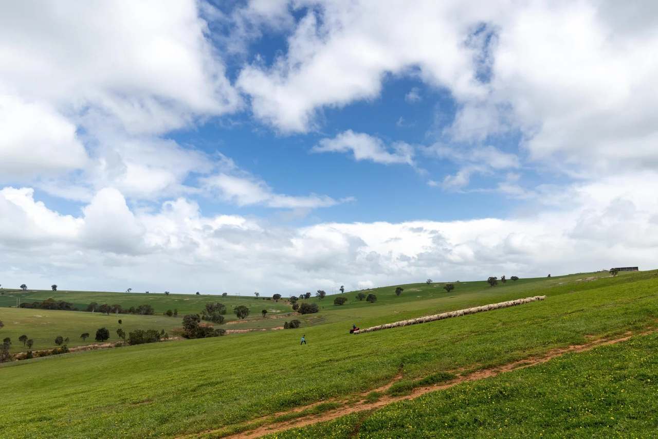 1126 Pattersons Road, Harefield Auction by Farmbuy.com - image 9