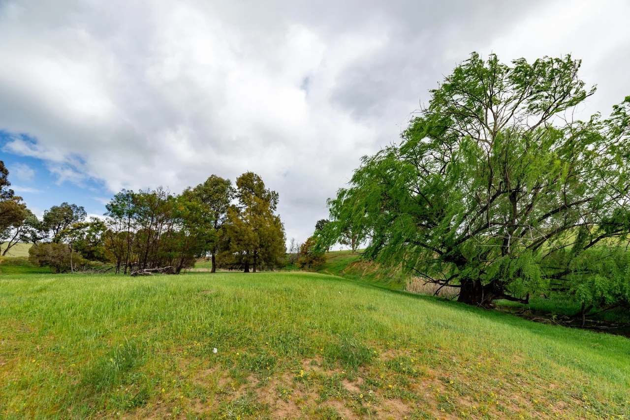 1126 Pattersons Road, Harefield Auction by Farmbuy.com - image 12