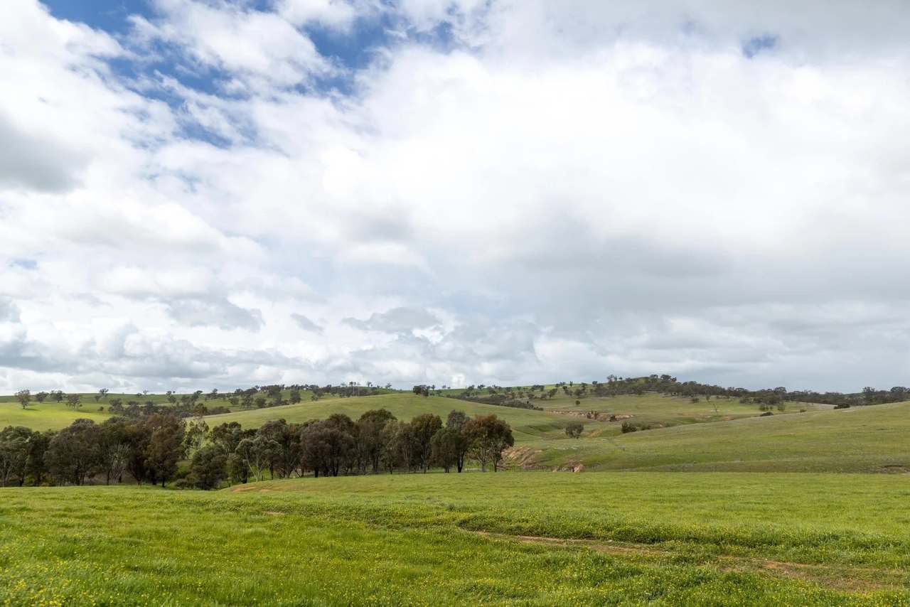 1126 Pattersons Road, Harefield Auction by Farmbuy.com - image 4