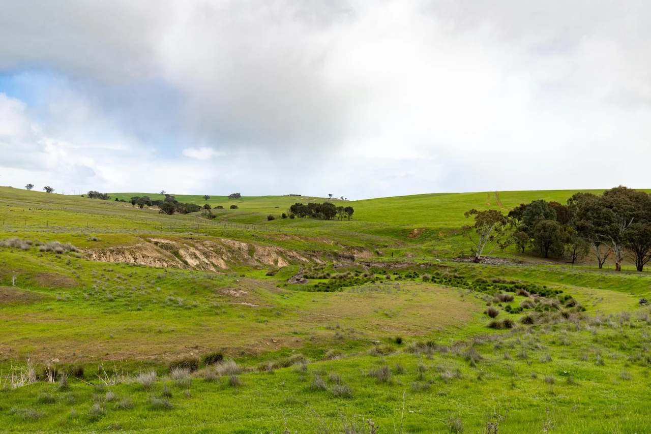 1126 Pattersons Road, Harefield Auction by Farmbuy.com - image 14