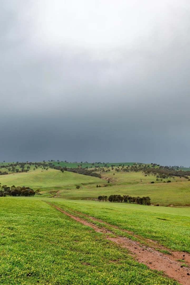 1126 Pattersons Road, Harefield Auction by Farmbuy.com - image 22