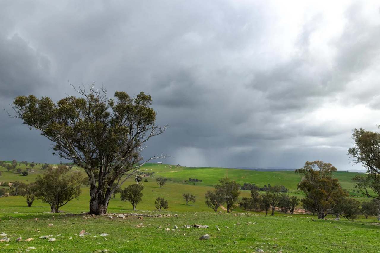 1126 Pattersons Road, Harefield Auction by Farmbuy.com - image 13