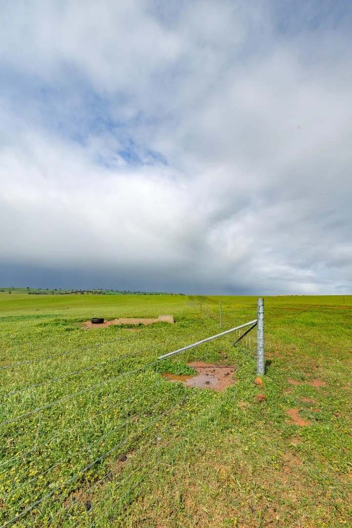 1126 Pattersons Road, Harefield Auction by Farmbuy.com - image 26