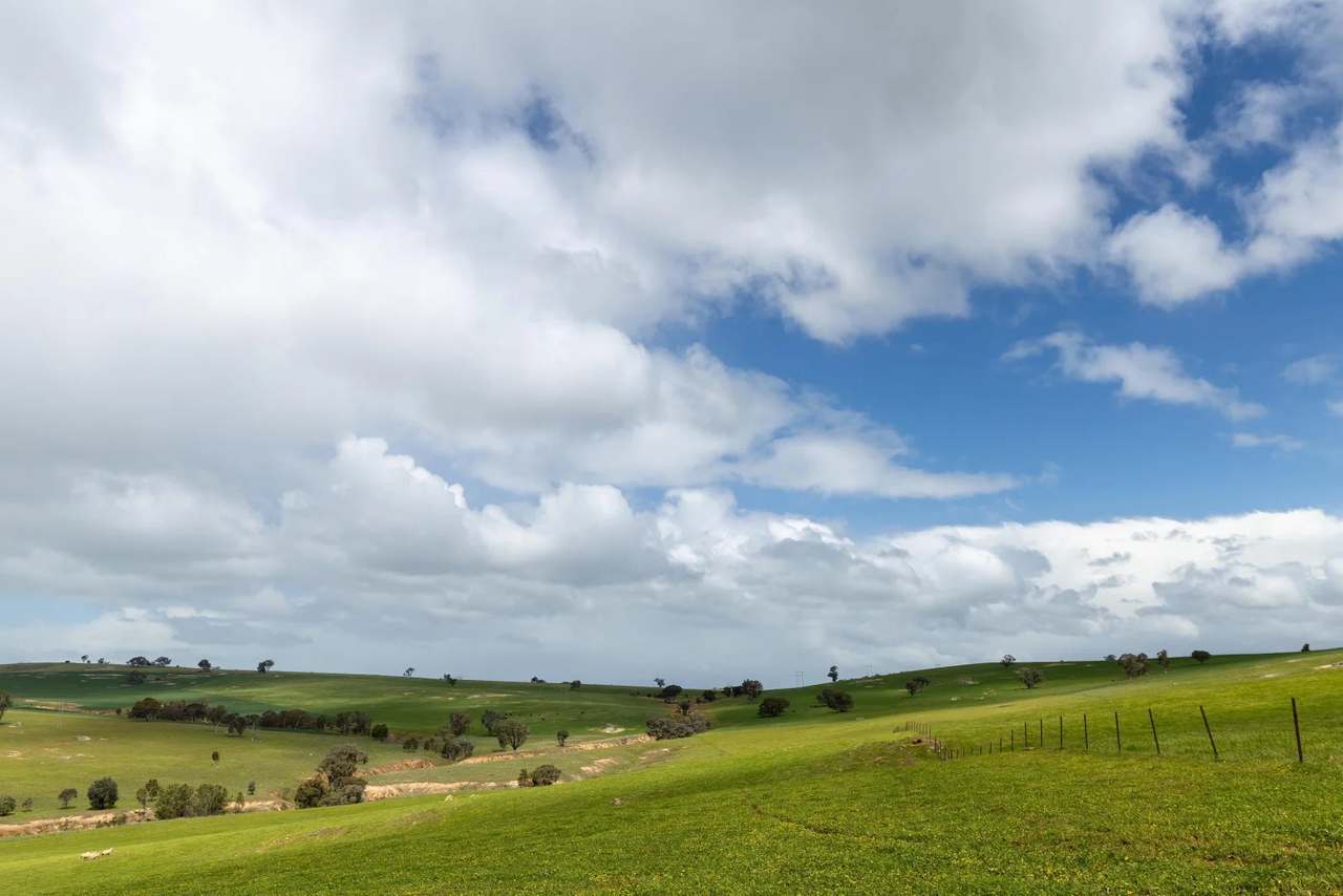 1126 Pattersons Road, Harefield Auction by Farmbuy.com - image 8