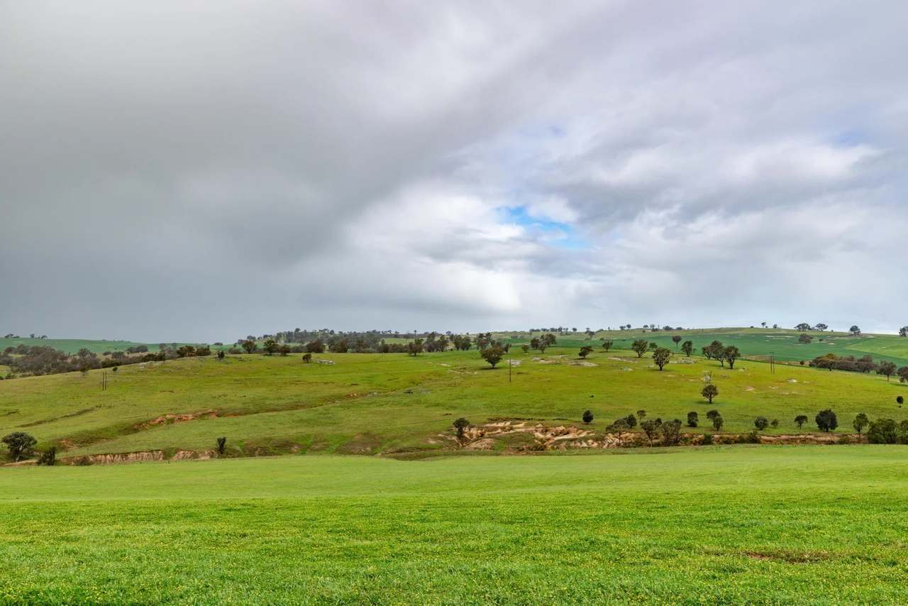 1126 Pattersons Road, Harefield Auction by Farmbuy.com - image 2