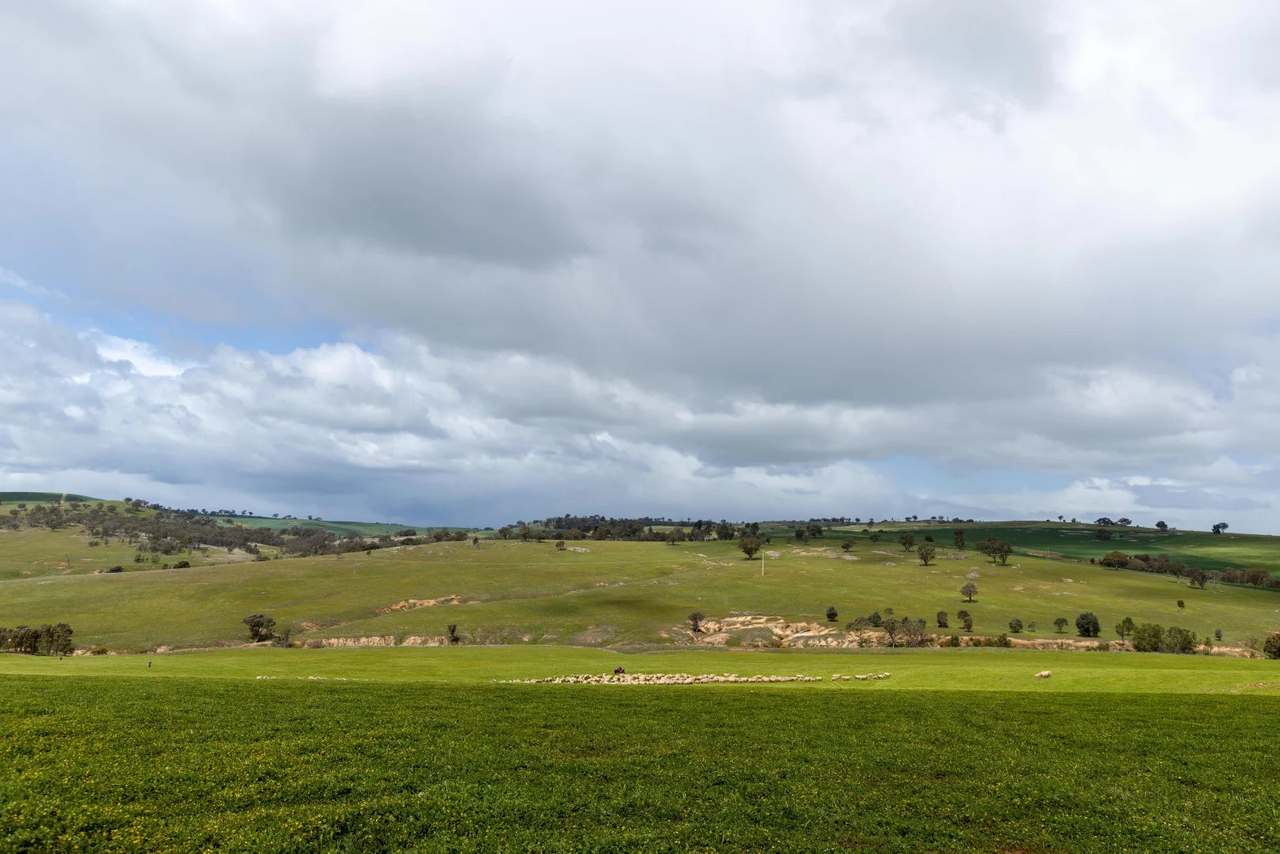 1126 Pattersons Road, Harefield Auction by Farmbuy.com - image 3