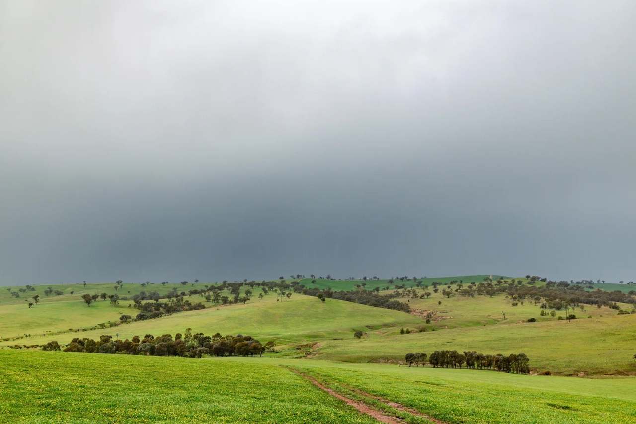 1126 Pattersons Road, Harefield Auction by Farmbuy.com - image 18