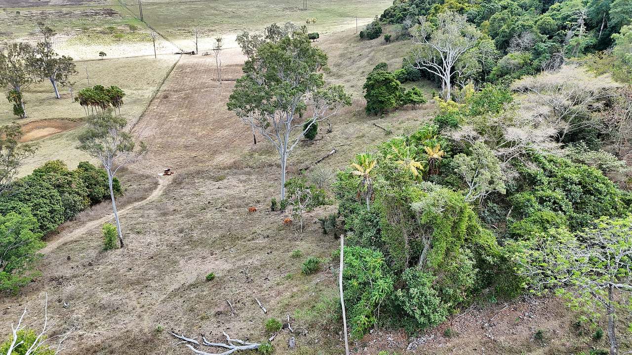 91901 Bruce Highway, ALLIGATOR CREEK For Sale by Farmbuy.com - image 23