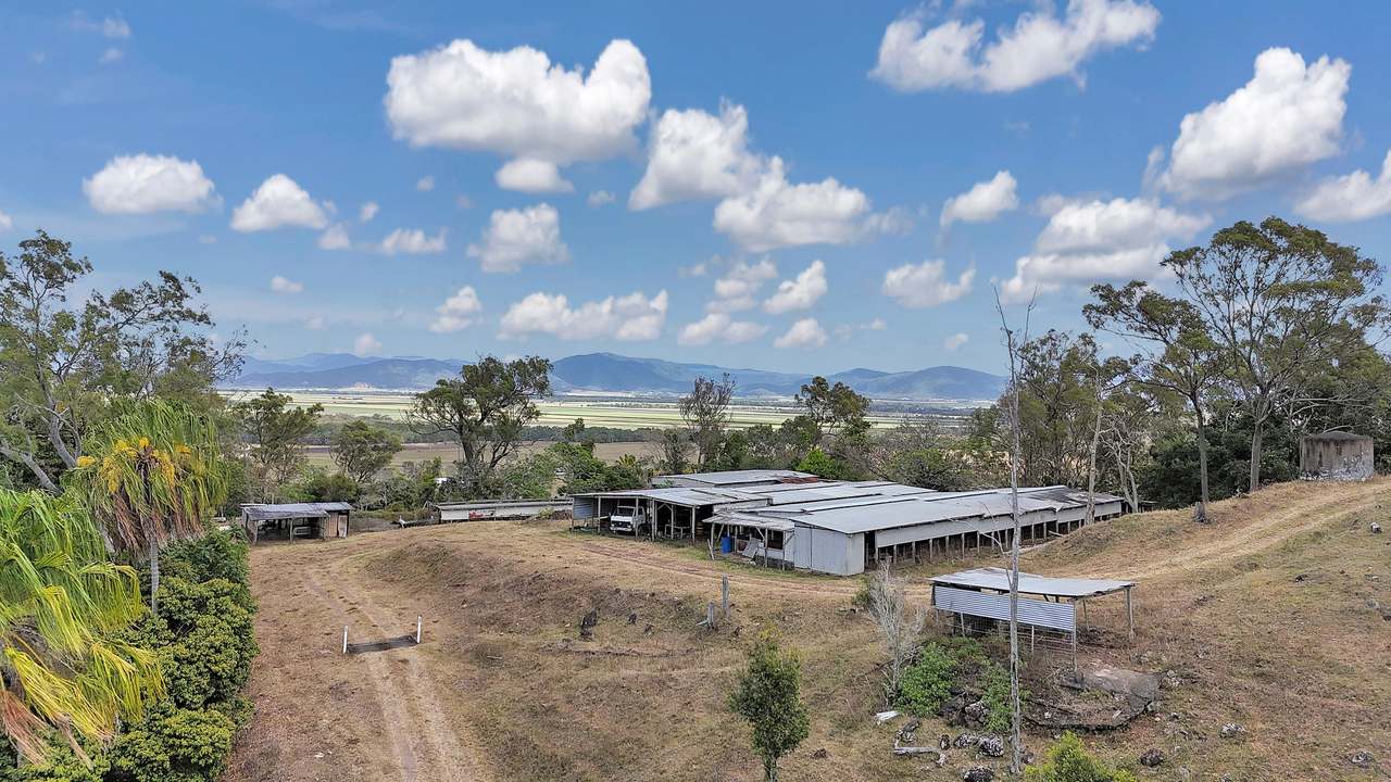 91901 Bruce Highway, ALLIGATOR CREEK For Sale by Farmbuy.com - image 22