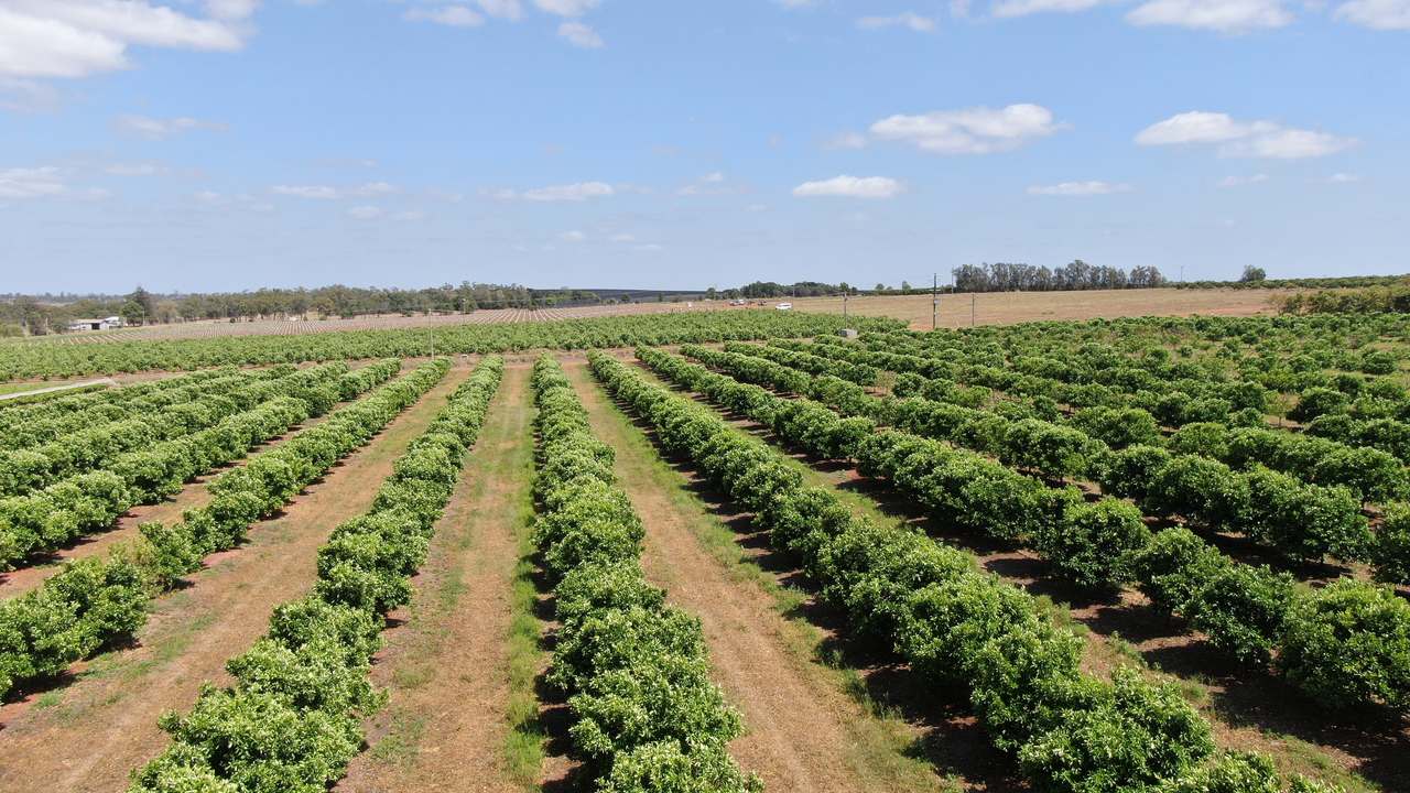 Glenrae Dip Road, Boynewood For Sale by Farmbuy.com - image 6