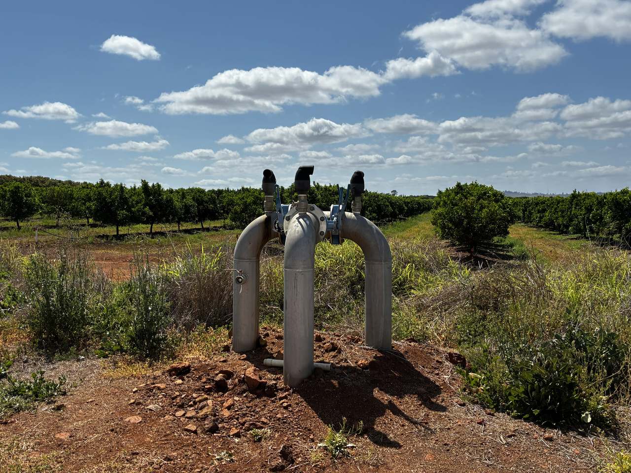 Glenrae Dip Road, Boynewood For Sale by Farmbuy.com - image 15