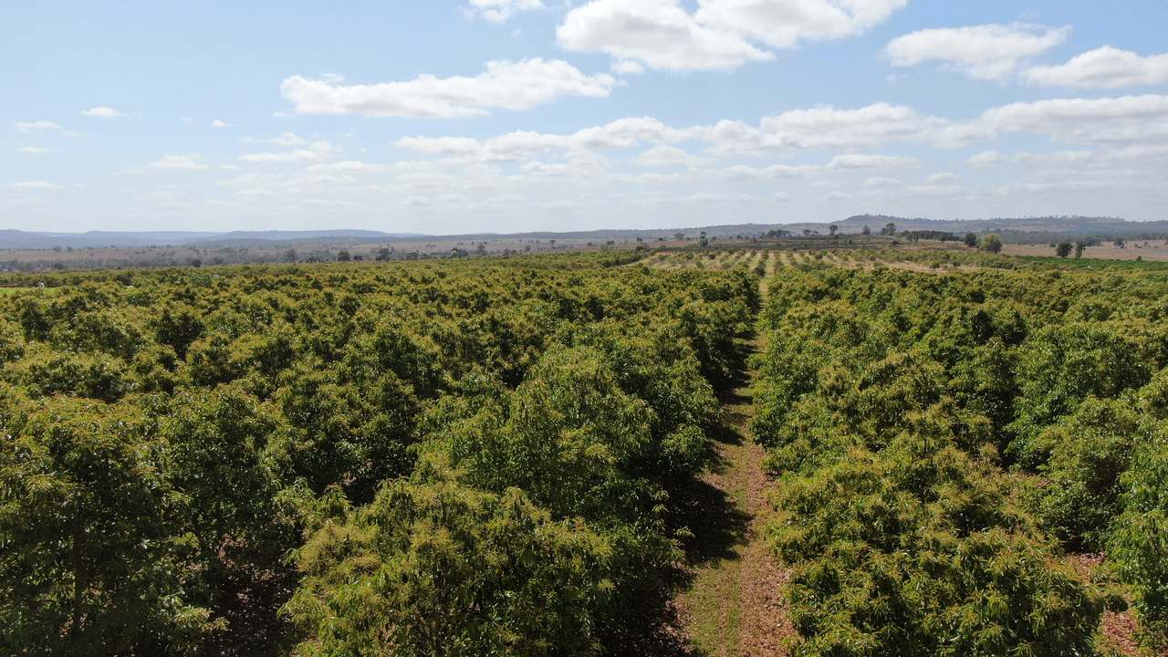 Glenrae Dip Road, Boynewood For Sale by Farmbuy.com - image 5