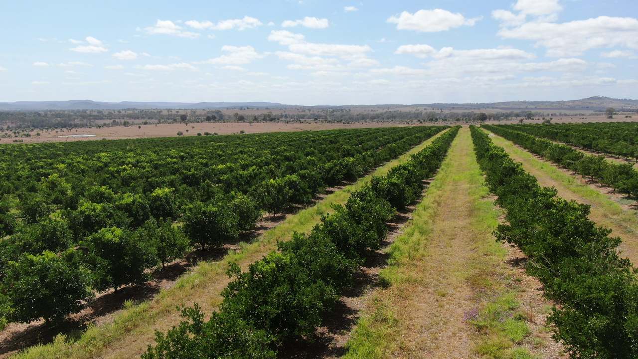 Glenrae Dip Road, Boynewood For Sale by Farmbuy.com - image 11