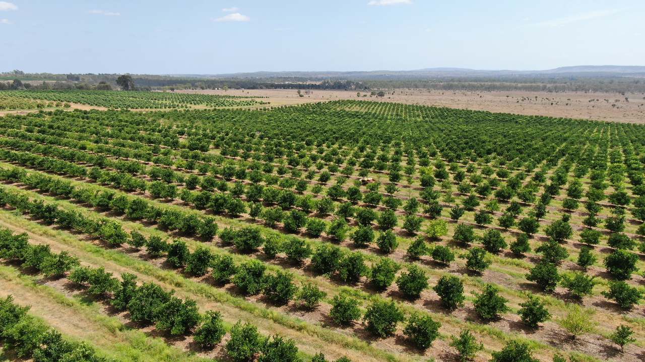 Glenrae Dip Road, Boynewood For Sale by Farmbuy.com - image 7