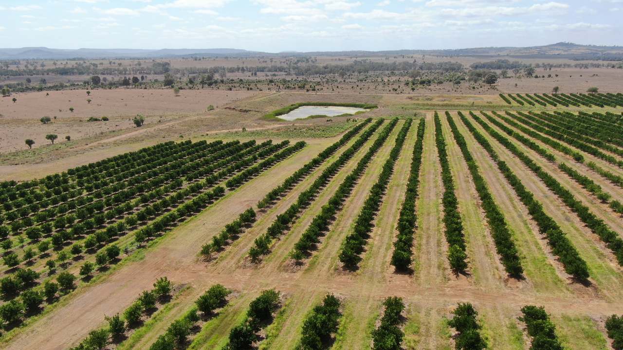 Glenrae Dip Road, Boynewood For Sale by Farmbuy.com - image 12