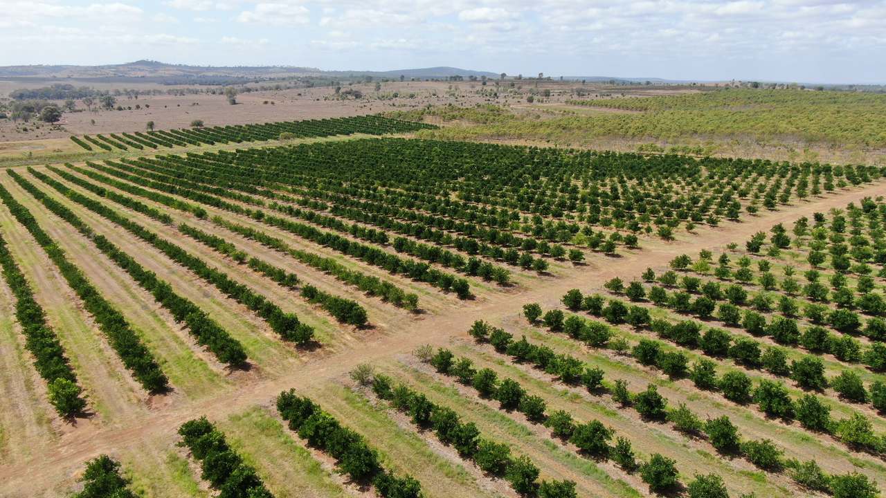 Glenrae Dip Road, Boynewood For Sale by Farmbuy.com - image 14